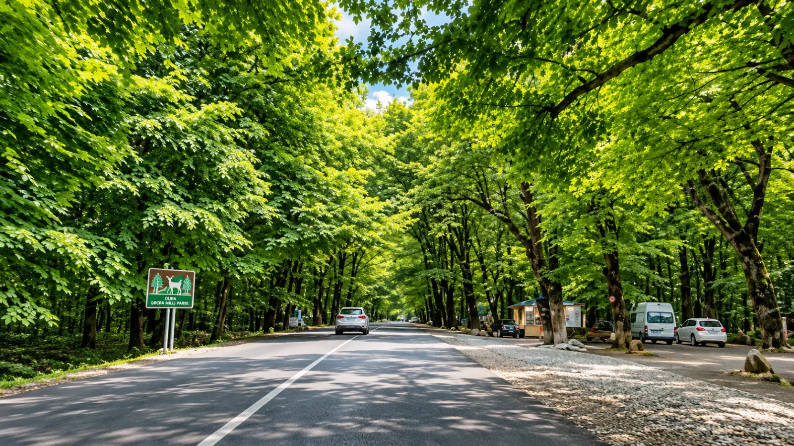 Gabala and Shamakhi in One Day from Baku — 6